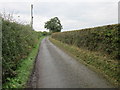 Narrow Lane at Ridleywood