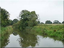 SU1661 : Kennet & Avon canal, between bridges 113 and 112 by Christine Johnstone