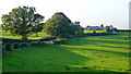Farmland by Hockley Brook Lane