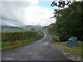 View towards the Sugar Loaf from east of Llangattock