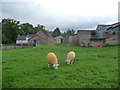 Wenllan farm near Llangattock