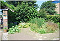 TQ3679 : Herb Garden, Surrey Docks Farm by N Chadwick