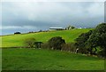 Mossblown Farmland