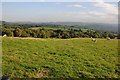 Farmland near Belan-fach