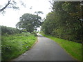 The road from Bulkworthy to West Putford