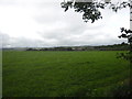 Field near Stowford