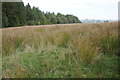 Rough grazing land above Pont Llogel