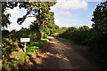 Mid Devon : Country Lane