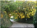 Lane junction, Tideford Cross