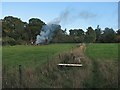 Little Abington: footpath and bonfire