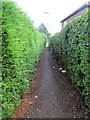 Footpath - Barnes Avenue