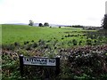 Tattynure Townland