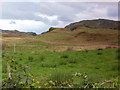 Rough grazing land near Barbreck