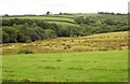 Valley near Beara