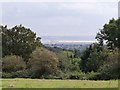 View of the River Thames from Westley Heights Nature Reserve, Langdon Hills