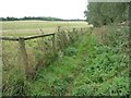 Unmapped path parallel to the canal towpath