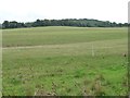 Large field south-west of Parlow Bottom