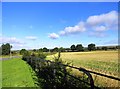 Looking north from beside the A177