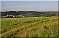 Mid Devon : Countryside Scenery