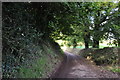 Mid Devon : Country Lane