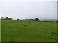 Looking across fields from Upper Cefn to Middle Cefn