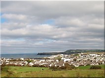 C9241 : The village of Portballintrae from the A2 by Eric Jones