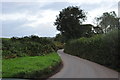 Mid Devon : Country Lane