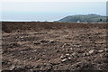 Ploughed field above Pendine