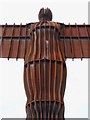 NZ2657 : Angel of the North, near Lamesley by Dave Hitchborne