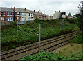 Railway in a cutting, Willenhall, Walsall