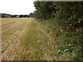 Footpath to nowhere