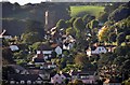 Minehead : Hillside Scenery