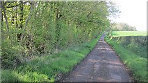 NS4029 : Minor road on Hill of Barnwell by Richard Webb