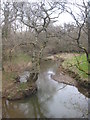 The River Carey looking upstream from Boldford Bridge