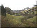 Valley on the west side of Launceston Castle