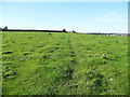 SE0820 : Elland FP58 crossing a field by Humphrey Bolton