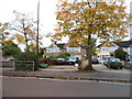 Houses on Uxbridge Road, Hanworth