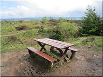 NX9271 : Picnic table, Mabie Forest by Richard Webb