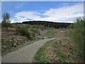 Logging road, Mabie