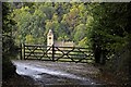 View down the lane