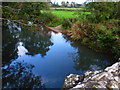 The River Rother at Ambersham Bridge