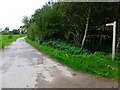 SU9121 : Footpath to Moor Farm north of South Ambersham by Shazz