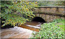 J4682 : The Crawfordsburn in flood (2) by Albert Bridge