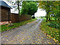 Farm track in West Hagbourne