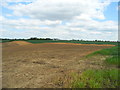 View southeast towards Mowlands Farm