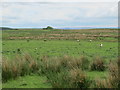 Moorland north and west of Dudlees