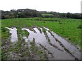 A muddy field, Woodbrook