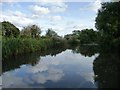 SU6770 : Kennet & Avon canal, west of Burghfield Lock by Christine Johnstone