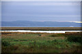 Pool on the saltmarsh at Parkgate