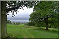 Footpath track past oak trees towards Flasby